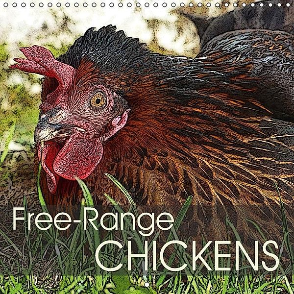 Free-Range Chickens (Wall Calendar 2018 300 × 300 mm Square), Lucy M. Laube