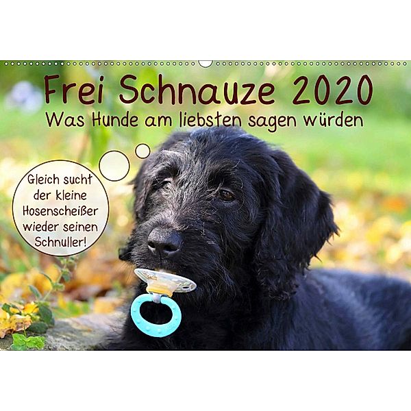 Frei Schnauze 2020. Was Hunde am liebsten sagen würden (Wandkalender 2020 DIN A2 quer), Steffani Lehmann