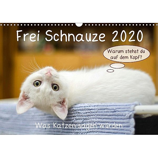 Frei Schnauze 2020. Was Katzen sagen würden (Wandkalender 2020 DIN A3 quer), Steffani Lehmann