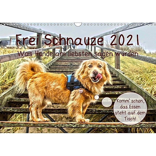 Frei Schnauze 2021. Was Hunde am liebsten sagen würden (Wandkalender 2021 DIN A3 quer), Steffani Lehmann
