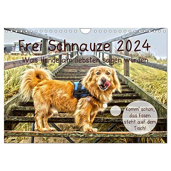 Frei Schnauze 2024. Was Hunde am liebsten sagen würden (Wandkalender 2024 DIN A4 quer), CALVENDO Monatskalender, Steffani Lehmann
