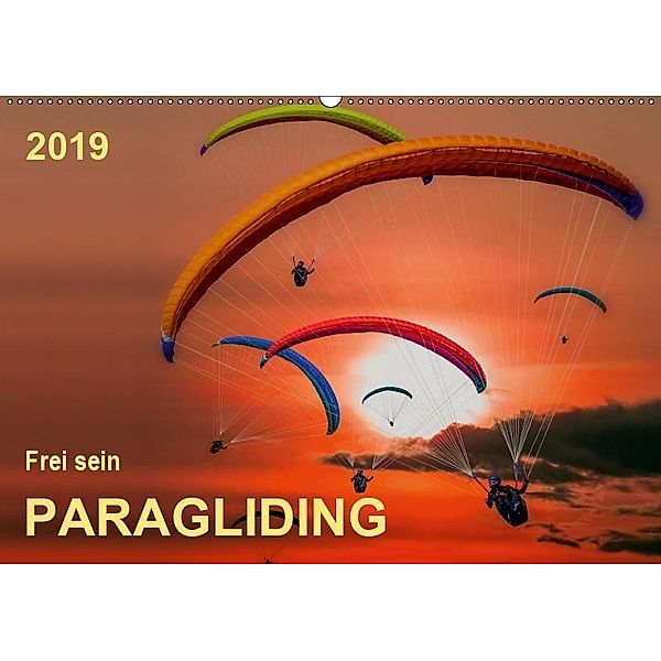 Frei sein - Paragliding (Wandkalender 2019 DIN A2 quer), Peter Roder