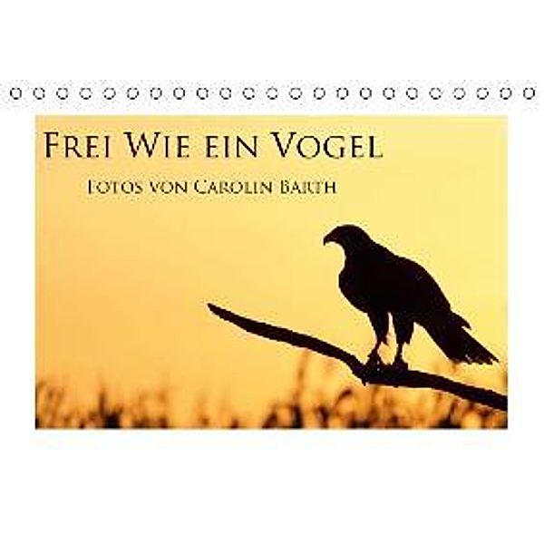 Frei wie ein Vogel (Tischkalender 2016 DIN A5 quer), Carolin Barth