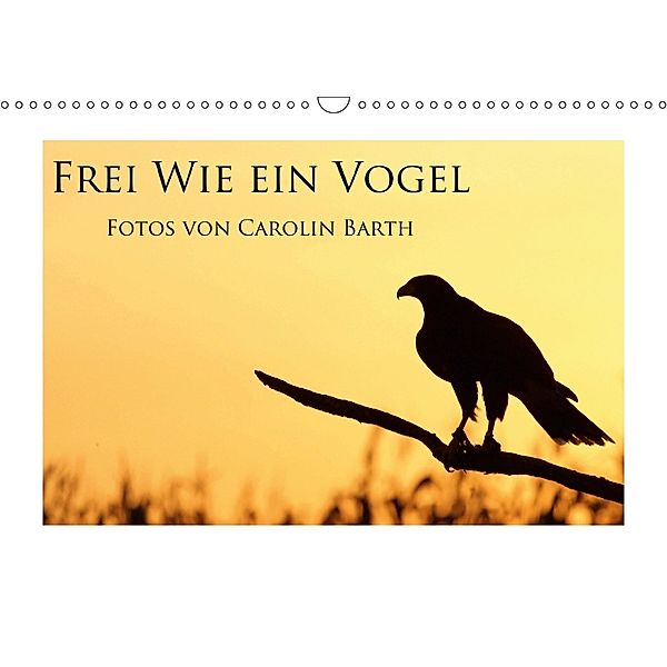 Frei wie ein Vogel (Wandkalender 2018 DIN A3 quer), Carolin Barth