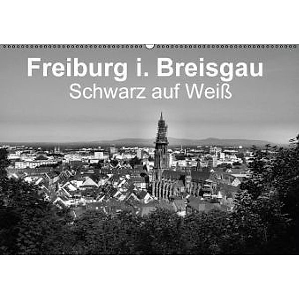 Freiburg i. Breisgau Schwarz auf Weiß (Wandkalender 2016 DIN A2 quer), Wolfgang-A. Langenkamp