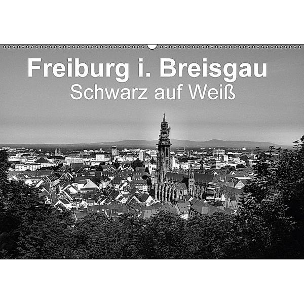 Freiburg i. Breisgau Schwarz auf Weiß (Wandkalender 2017 DIN A2 quer), Wolfgang-A. Langenkamp