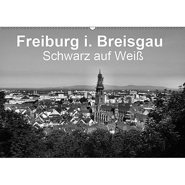 Freiburg i. Breisgau Schwarz auf Weiß (Wandkalender 2019 DIN A2 quer), Wolfgang-A. Langenkamp