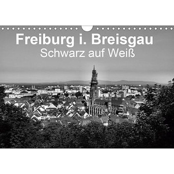 Freiburg i. Breisgau Schwarz auf Weiß (Wandkalender 2020 DIN A4 quer), Wolfgang-A. Langenkamp
