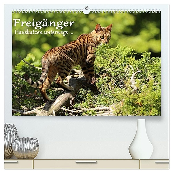 Freigänger - Hauskatzen unterwegs (hochwertiger Premium Wandkalender 2024 DIN A2 quer), Kunstdruck in Hochglanz, Werner Schmäing