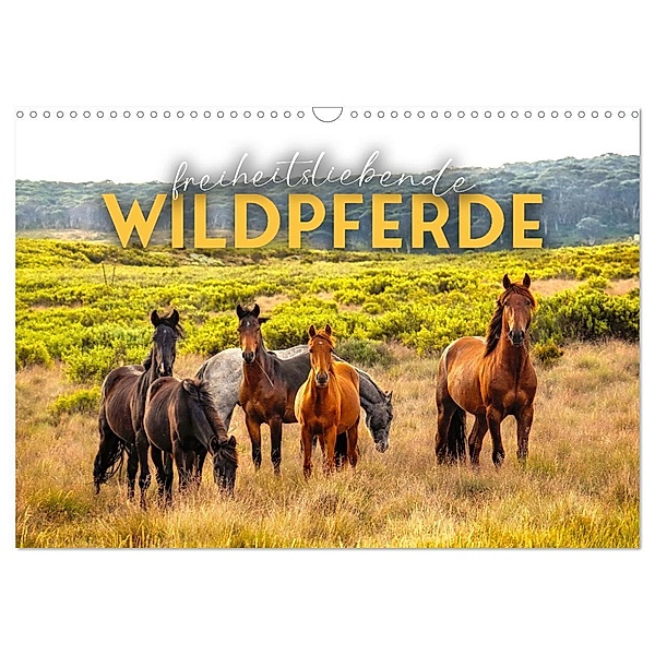 Freiheitsliebende Wildpferde (Wandkalender 2024 DIN A3 quer), CALVENDO Monatskalender, Happy Monkey