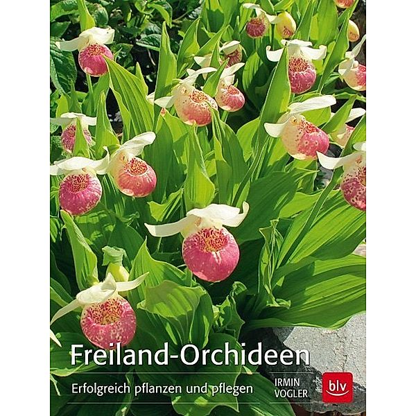 Freiland-Orchideen, Irmin Vogler