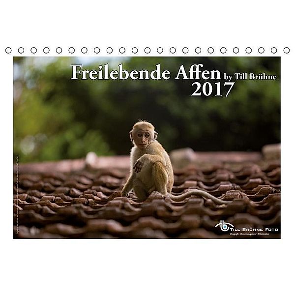 Freilebende Affen 2017 (Tischkalender 2017 DIN A5 quer), Till Brühne