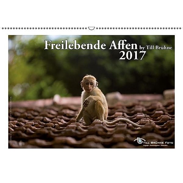 Freilebende Affen 2017 (Wandkalender 2017 DIN A2 quer), Till Brühne