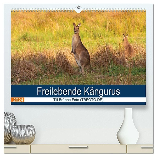 Freilebende Kängurus (hochwertiger Premium Wandkalender 2024 DIN A2 quer), Kunstdruck in Hochglanz, Till Brühne Foto (TBFOT.DE)