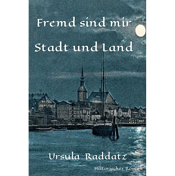 Fremd sind mir Stadt und Land / Historische Romane über die Geschichte Kappelns Bd.4, Ursula Raddatz