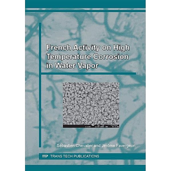 French Activity on High Temperature Corrosion in Water Vapor, Sébastien Chevalier, Jérôme Favergeon