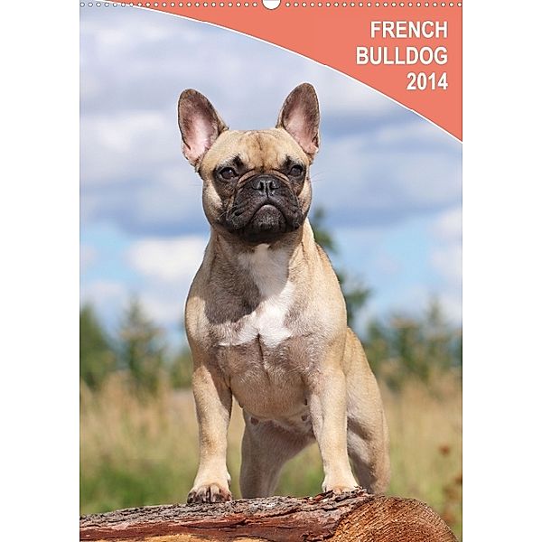 French Bulldog 2014 (Wandkalender 2014 DIN A3 hoch), JOHN N.Y. EDITION