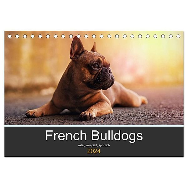 French Bulldog aktiv, verspielt, sportlich (Tischkalender 2024 DIN A5 quer), CALVENDO Monatskalender, Janina Block