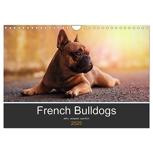 French Bulldog aktiv, verspielt, sportlich (Wandkalender 2025 DIN A4 quer), CALVENDO Monatskalender, Calvendo, Janina Block