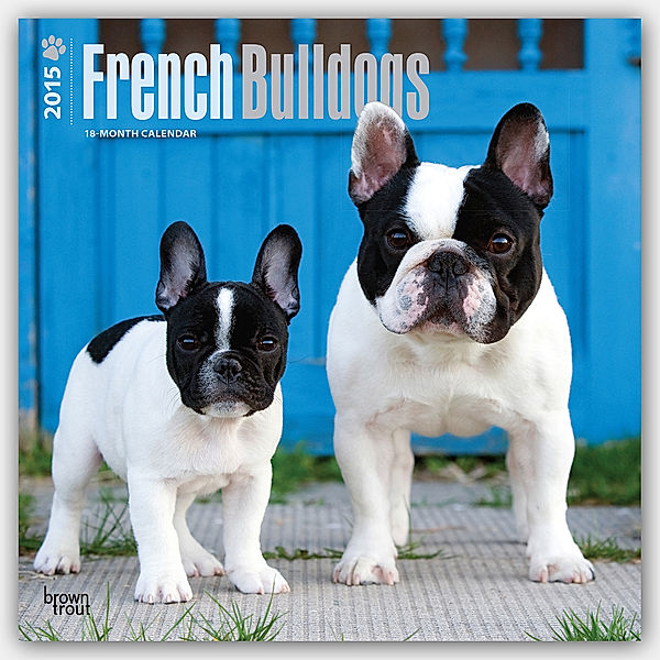 French Bulldogs, Broschürenkalender 2015