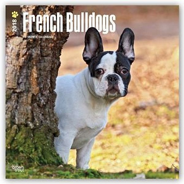 French Bulldogs - Französische Bulldoggen 2018 - 18-Monatskalender mit freier DogDays-App, BrownTrout Publisher