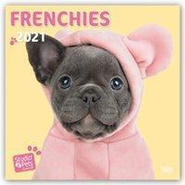 Frenchies - Französische Bulldoggen 2021, Myrna Huijing