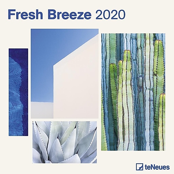 Fresh Breeze 2020