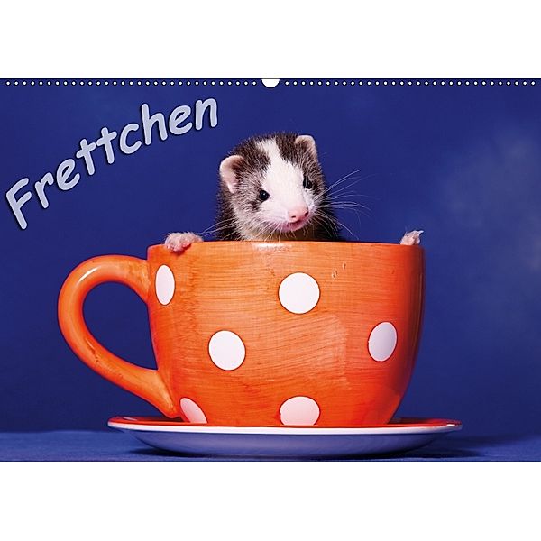 Frettchen - Ferrets (Wandkalender 2018 DIN A2 quer), Jeanette Hutfluss
