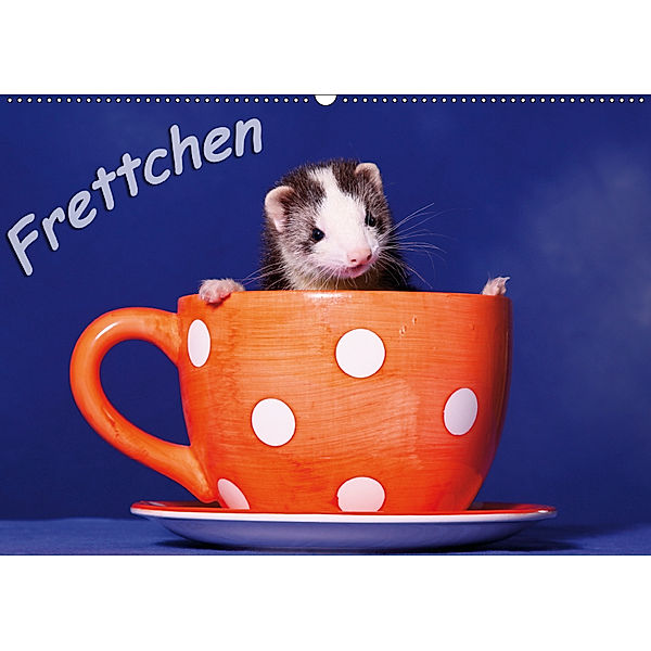 Frettchen - Ferrets (Wandkalender 2019 DIN A2 quer), Jeanette Hutfluss
