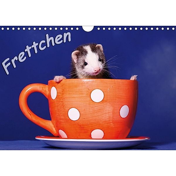 Frettchen - Ferrets (Wandkalender 2020 DIN A4 quer), Jeanette Hutfluss