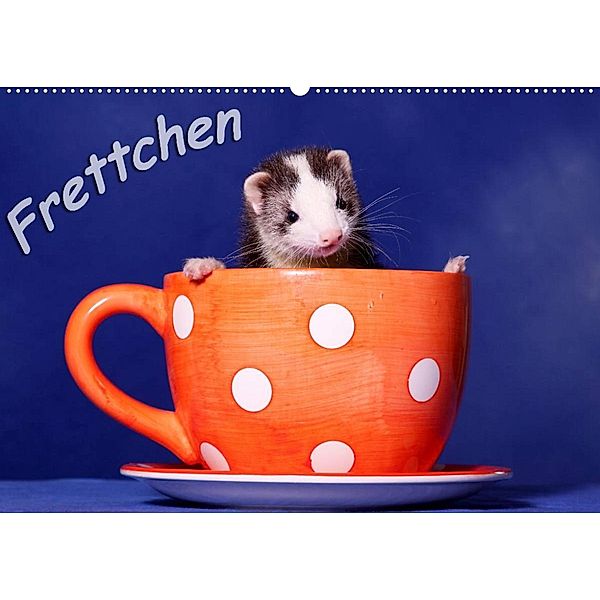 Frettchen - Ferrets (Wandkalender 2023 DIN A2 quer), Jeanette Hutfluss