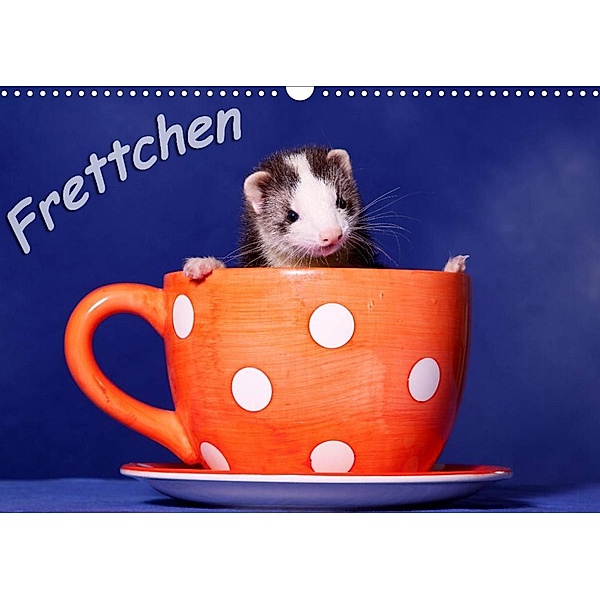 Frettchen - Ferrets (Wandkalender 2023 DIN A3 quer), Jeanette Hutfluss