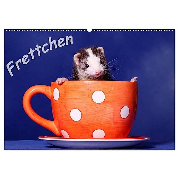 Frettchen - Ferrets (Wandkalender 2024 DIN A2 quer), CALVENDO Monatskalender, Jeanette Hutfluss