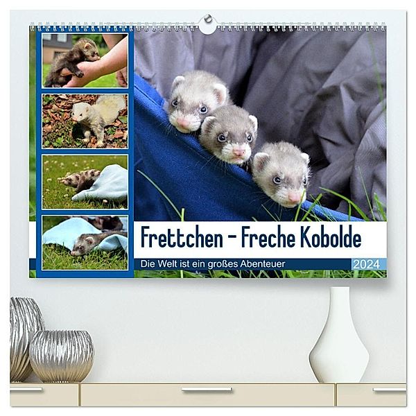 Frettchen - Freche Kobolde (hochwertiger Premium Wandkalender 2024 DIN A2 quer), Kunstdruck in Hochglanz, Bodo Schmidt