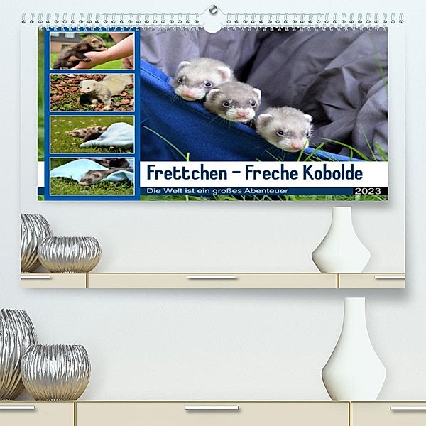 Frettchen - Freche Kobolde (Premium, hochwertiger DIN A2 Wandkalender 2023, Kunstdruck in Hochglanz), Bodo Schmidt
