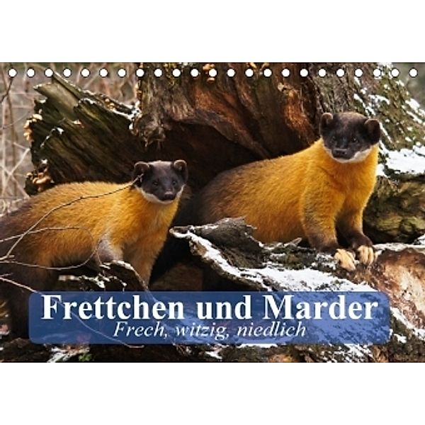 Frettchen und Marder. Frech, witzig, niedlich (Tischkalender 2017 DIN A5 quer), Elisabeth Stanzer