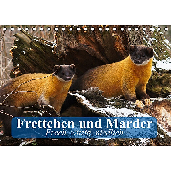 Frettchen und Marder. Frech, witzig, niedlich (Tischkalender 2019 DIN A5 quer), Elisabeth Stanzer