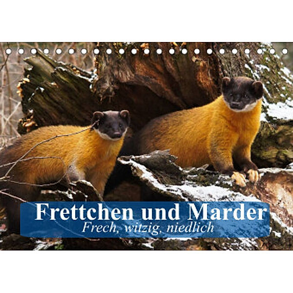 Frettchen und Marder. Frech, witzig, niedlich (Tischkalender 2022 DIN A5 quer), Elisabeth Stanzer