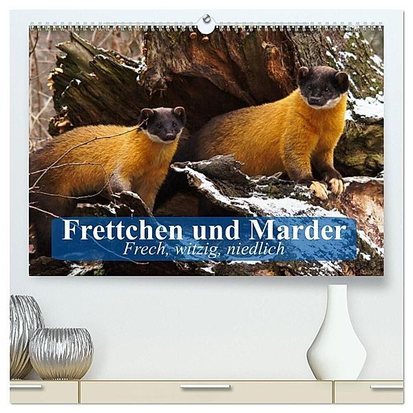 Frettchen und Marder. Frech, witzig, niedlich (hochwertiger Premium Wandkalender 2024 DIN A2 quer), Kunstdruck in Hochglanz, Elisabeth Stanzer