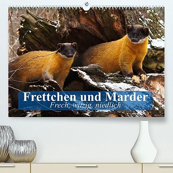 Frettchen und Marder. Frech, witzig, niedlich (Premium, hochwertiger DIN A2 Wandkalender 2023, Kunstdruck in Hochglanz), Elisabeth Stanzer