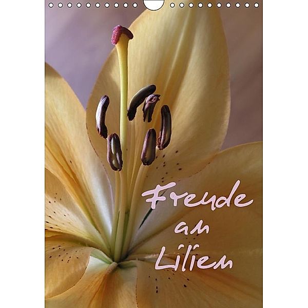Freude an Lilien (Wandkalender 2017 DIN A4 hoch), Gisela Kruse