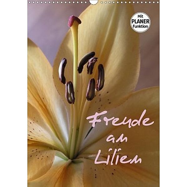 Freude an Lilien (Wandkalender 2020 DIN A3 hoch), Gisela Kruse