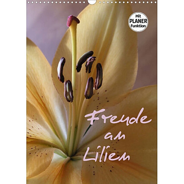 Freude an Lilien (Wandkalender 2022 DIN A3 hoch), Gisela Kruse