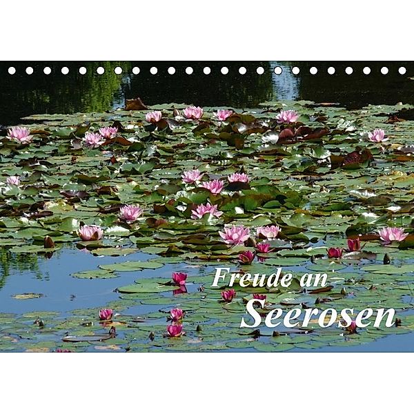 Freude an Seerosen (Tischkalender 2017 DIN A5 quer), Gisela Kruse