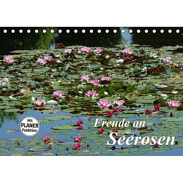 Freude an Seerosen (Tischkalender 2020 DIN A5 quer), Gisela Kruse