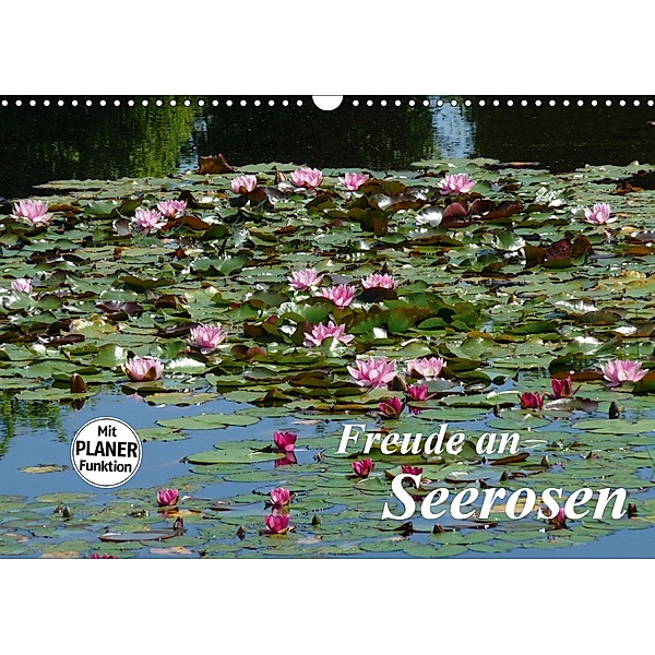 Freude an Seerosen (Wandkalender 2021 DIN A3 quer), Gisela Kruse