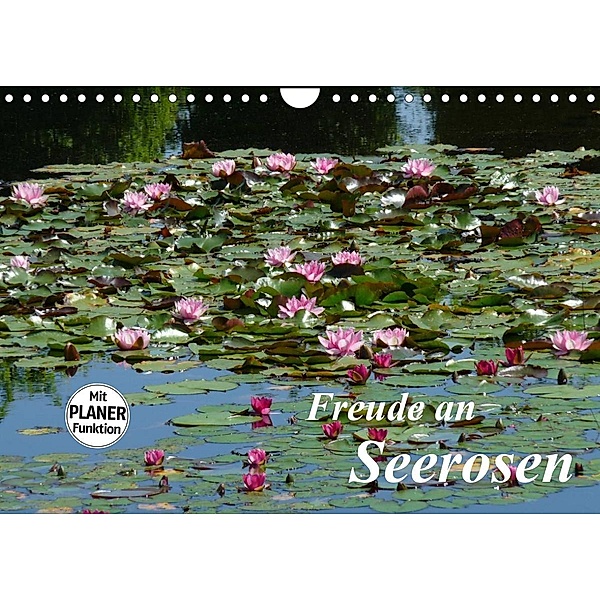 Freude an Seerosen (Wandkalender 2023 DIN A4 quer), Gisela Kruse