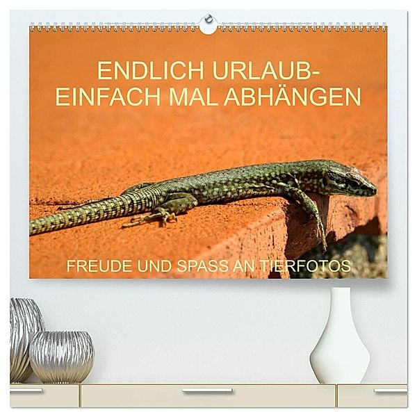 Freude und Spass an Tierfotos (hochwertiger Premium Wandkalender 2025 DIN A2 quer), Kunstdruck in Hochglanz, Calvendo, Anette Jäger