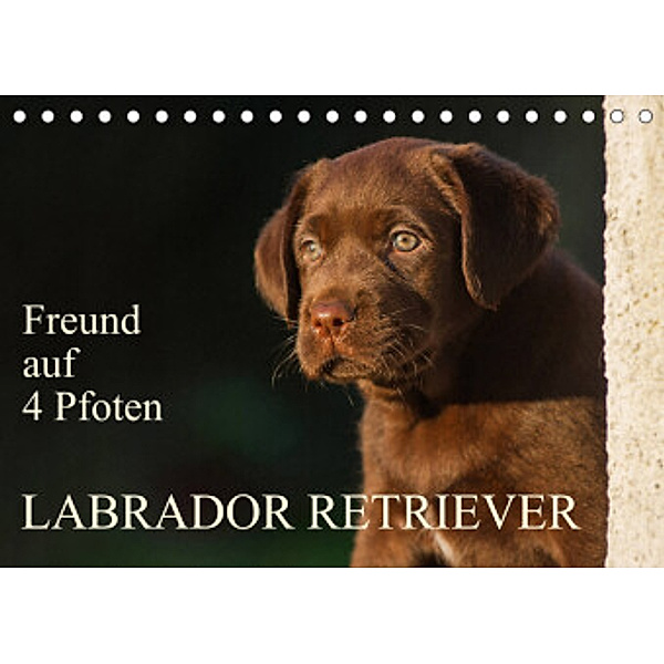 Freund auf 4 Pfoten - Labrador Retriever (Tischkalender 2022 DIN A5 quer), Sigrid Starick