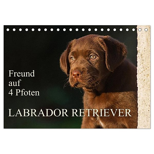 Freund auf 4 Pfoten - Labrador Retriever (Tischkalender 2024 DIN A5 quer), CALVENDO Monatskalender, Sigrid Starick